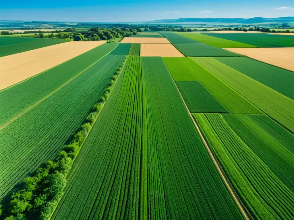 Vista aérea impresionante de campo agrícola verde exuberante, mostrando belleza, innovación y aplicaciones del 5G en agricultura